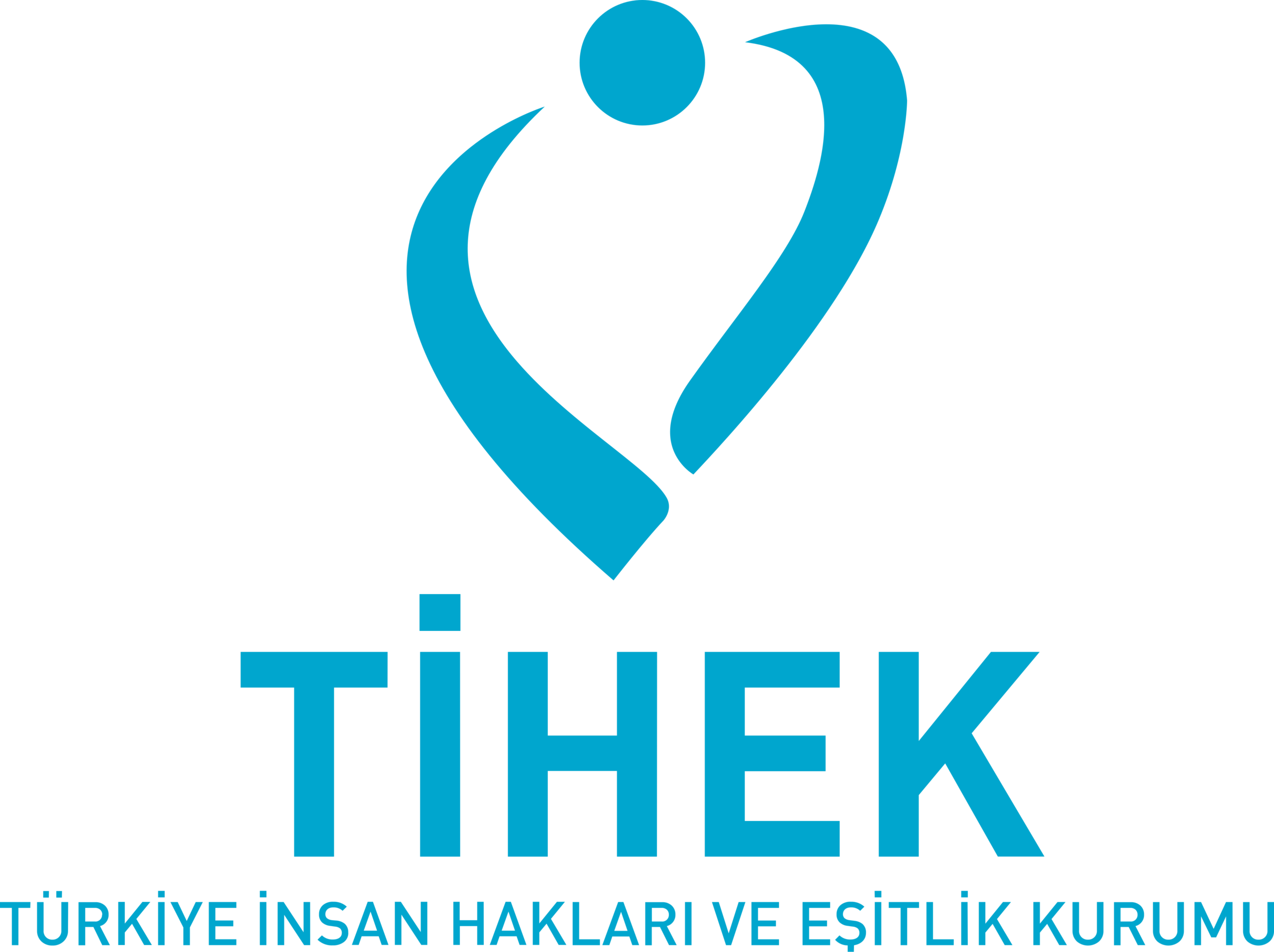 Türkiye İnsan Hakları ve Eşitlik Kurumu (TİHEK) Sözleşmeli Personel Alım İlanı Logosu